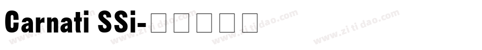 Carnati SSi字体转换